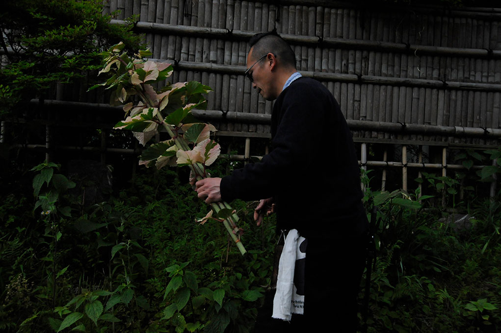 IKEBANA WATARI TORU