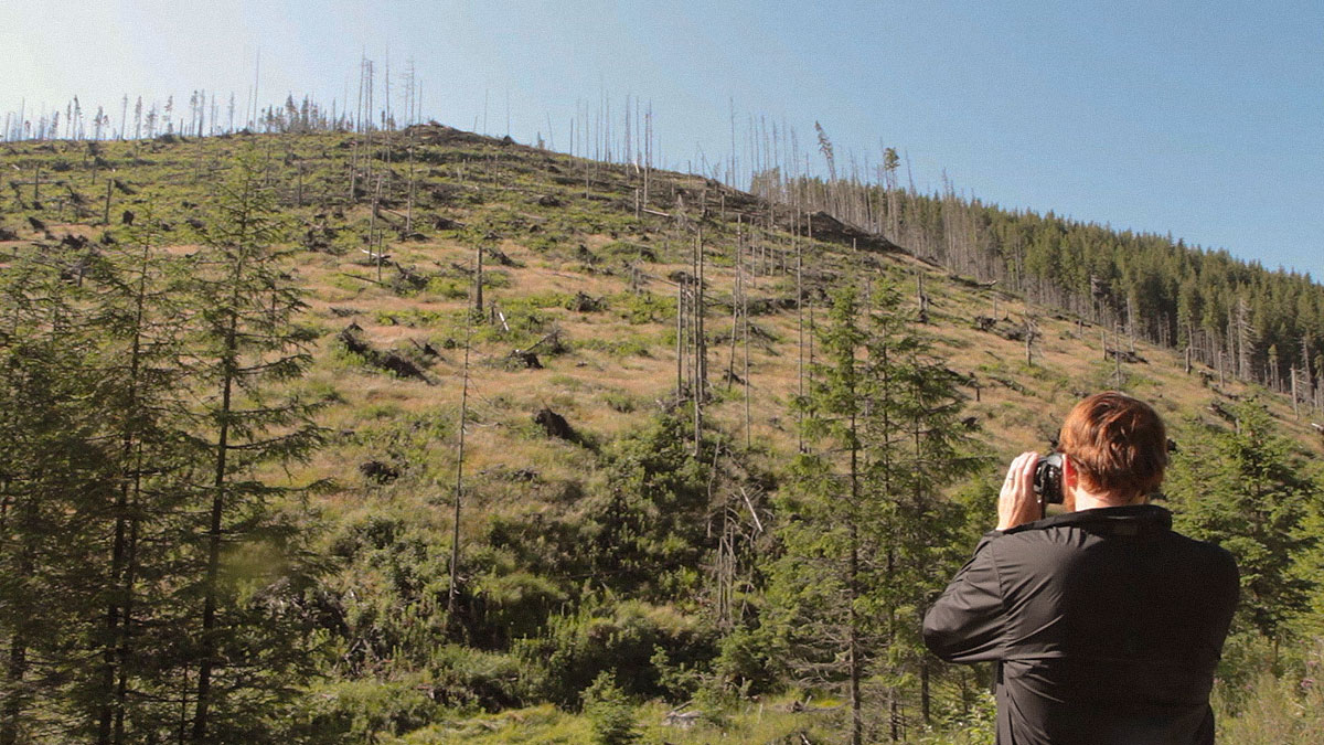 A SCENE FROM WOOD documentary