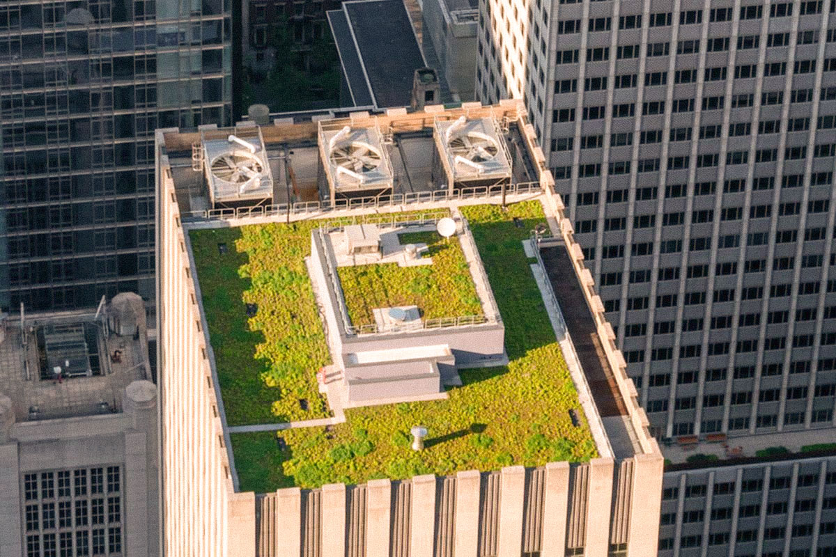 GIARDINO SUL ROOFTOP DI UN GRATTACIELO DI NEW YORK