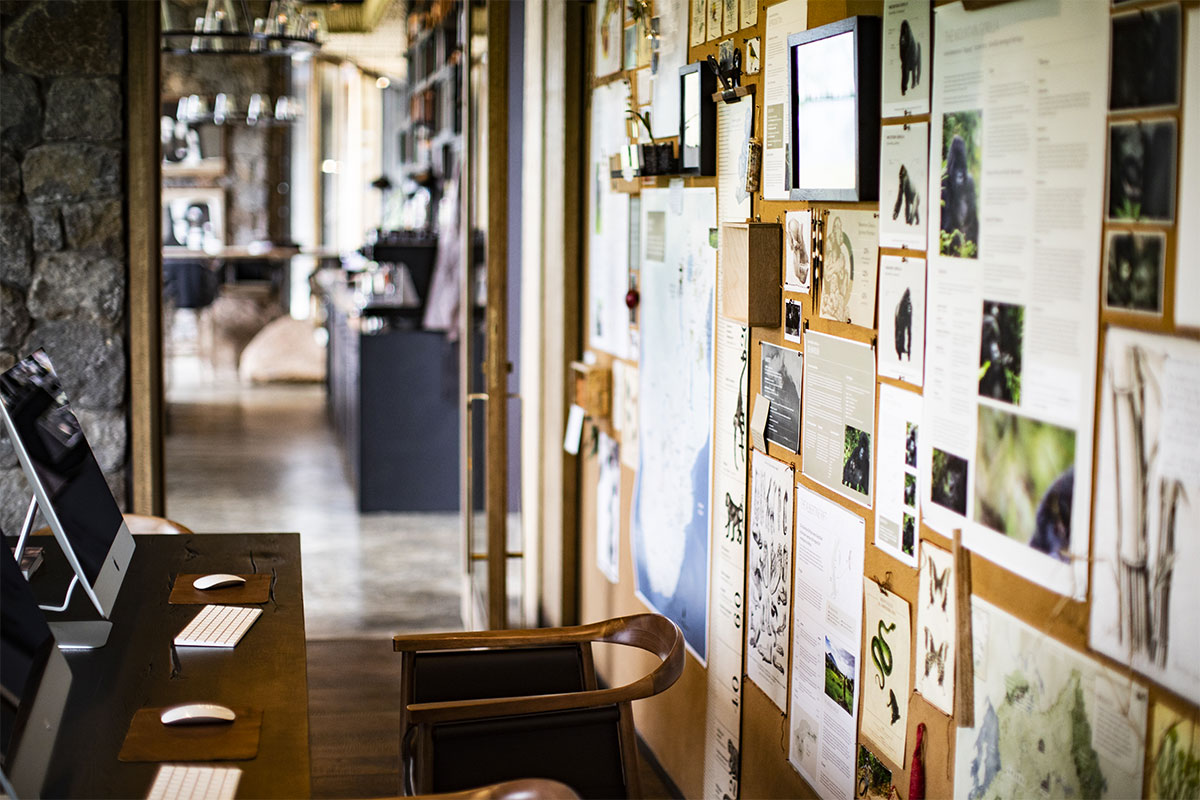 Singita 7