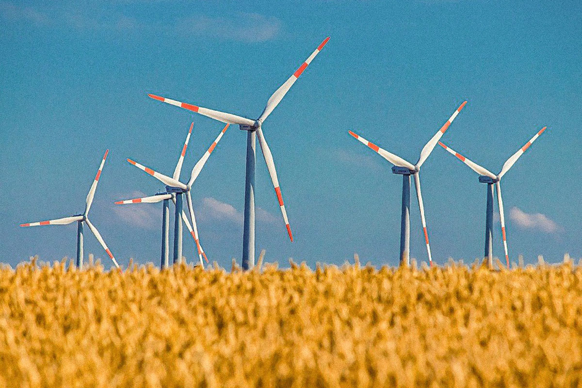 web Le conseguenze del Coronavirus sul raro rallentamento delle energie rinnovabili 01