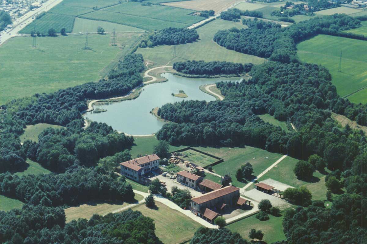 bosco8