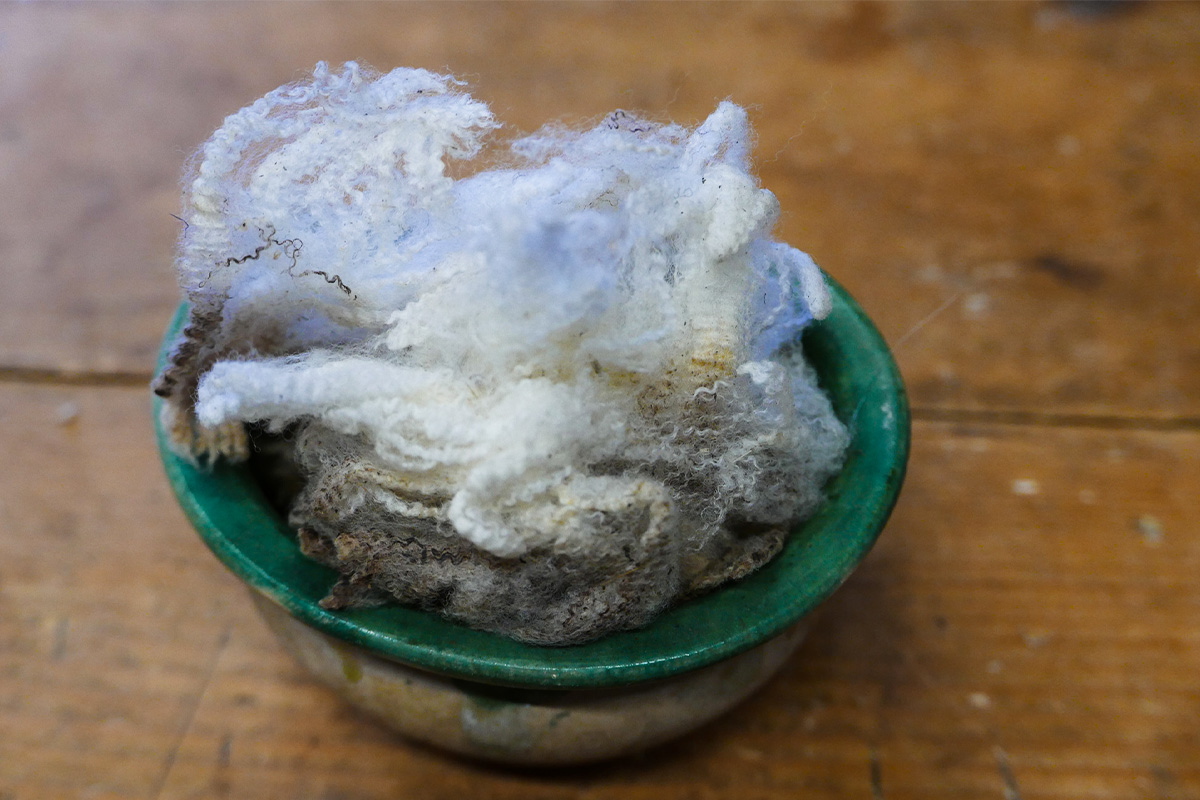 wildfood7