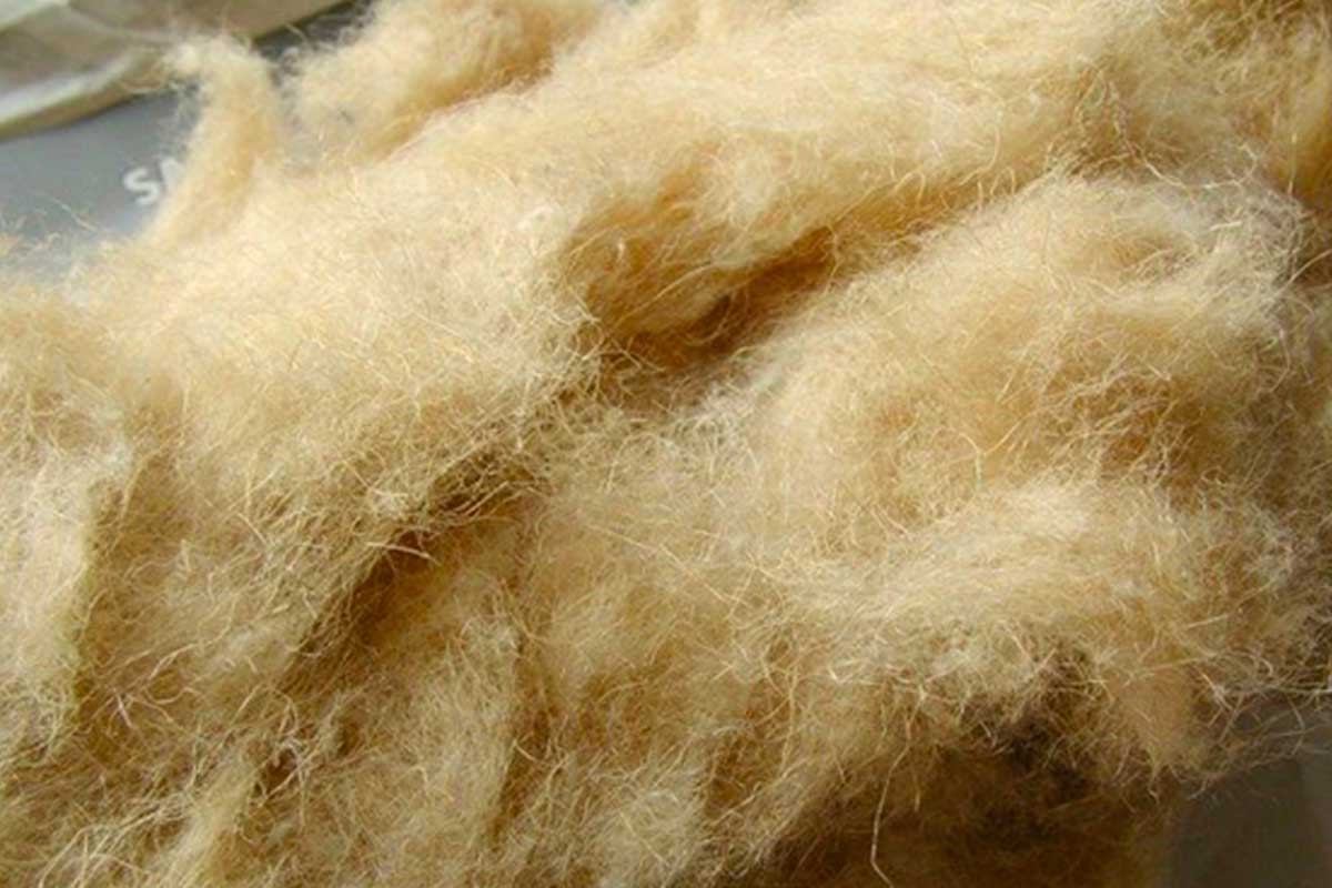 FIbra di lino
