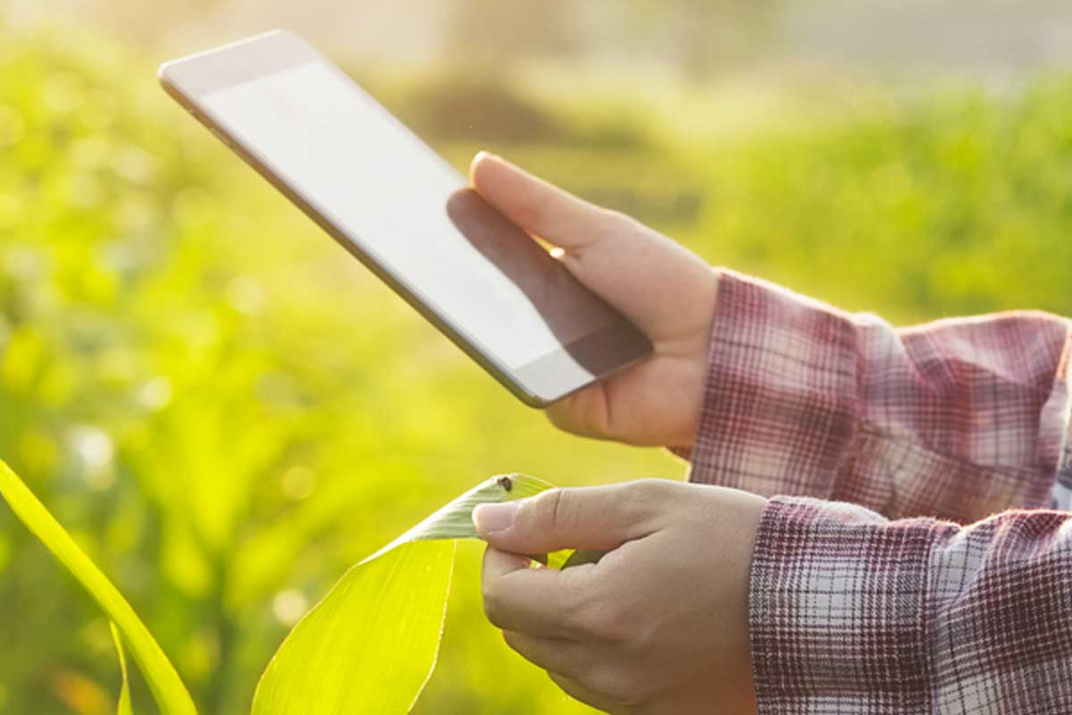 tecnologia alimentare 4.0