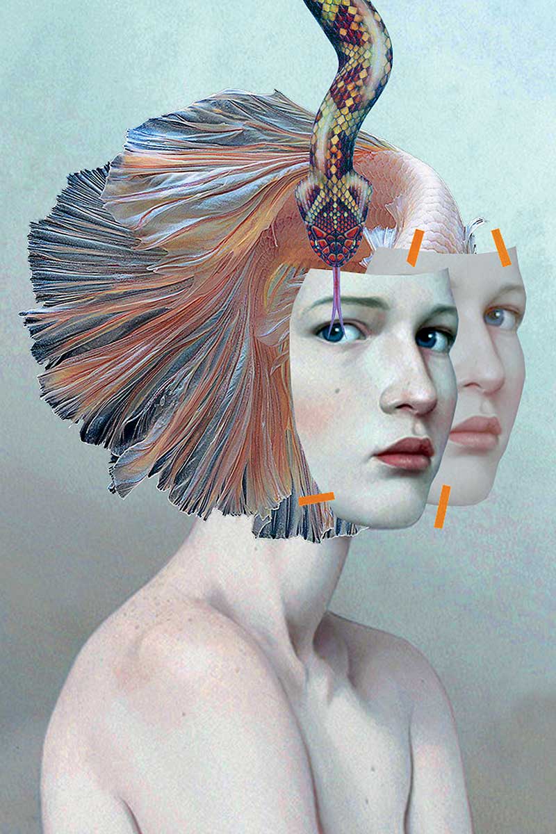 collage noname