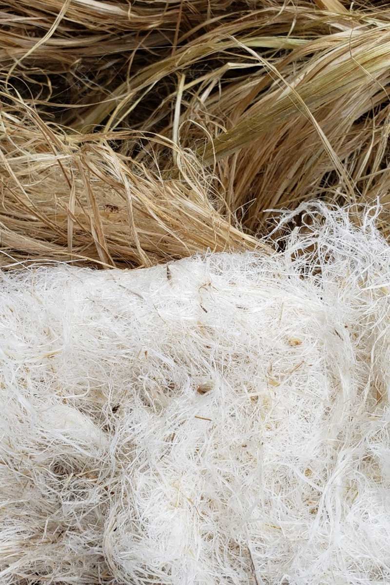 cottonized hemp