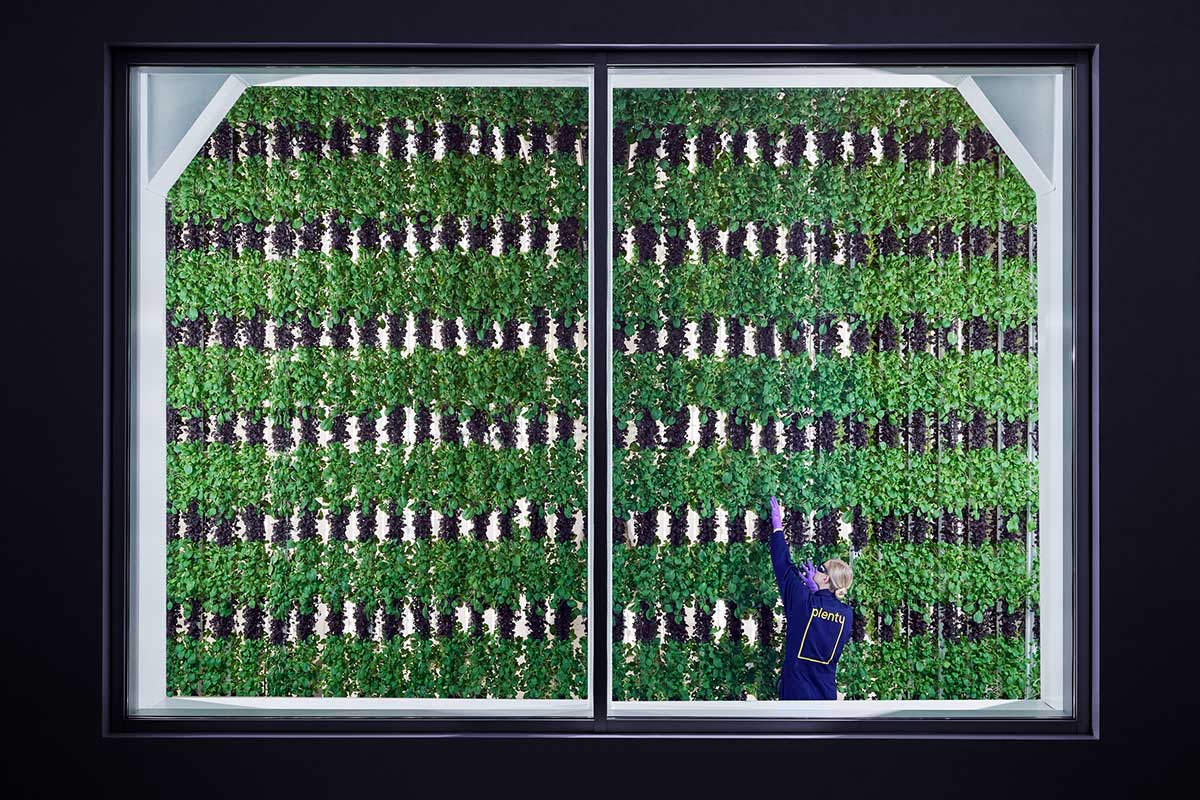 vertical farming 5