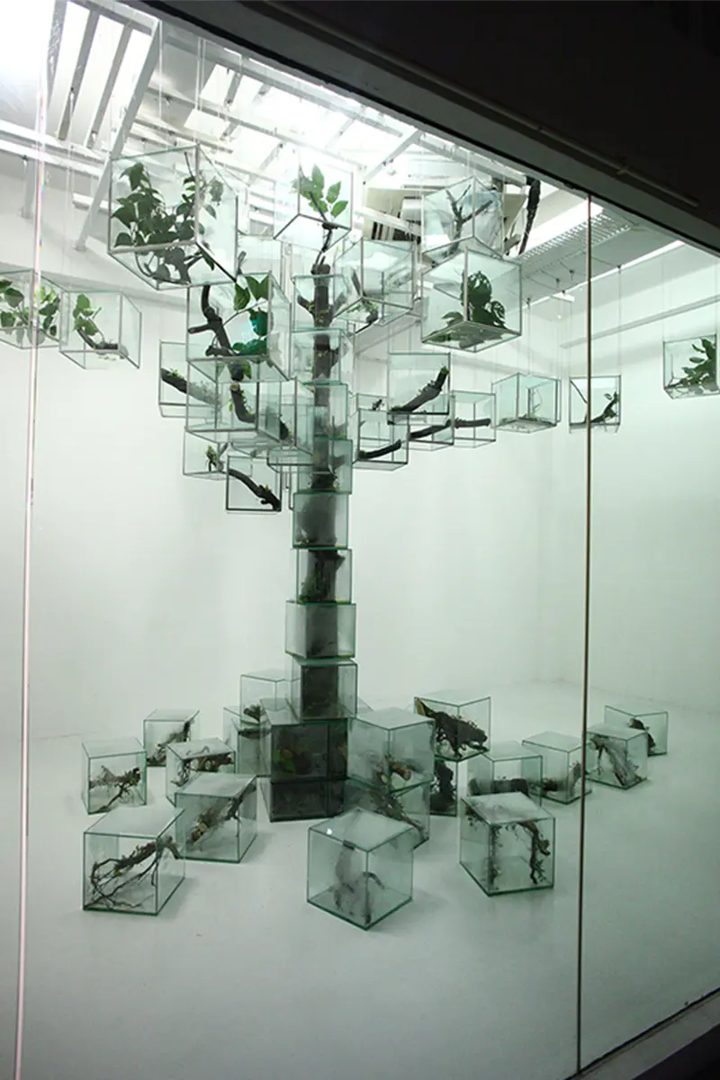 1/6 Trees, 2015: at Singapore Art Museum 2019, Courtesy of Takashi Kuribayashi