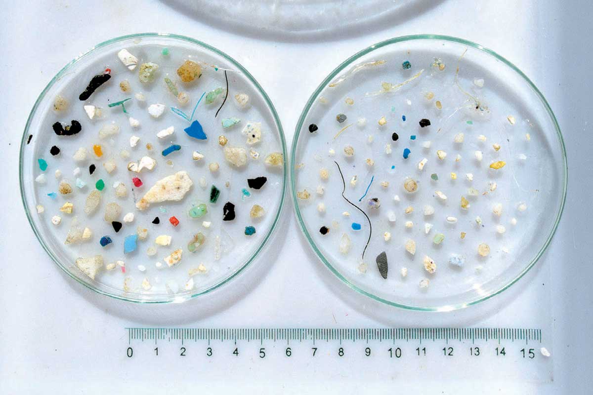 MICROPLASTICHE 6