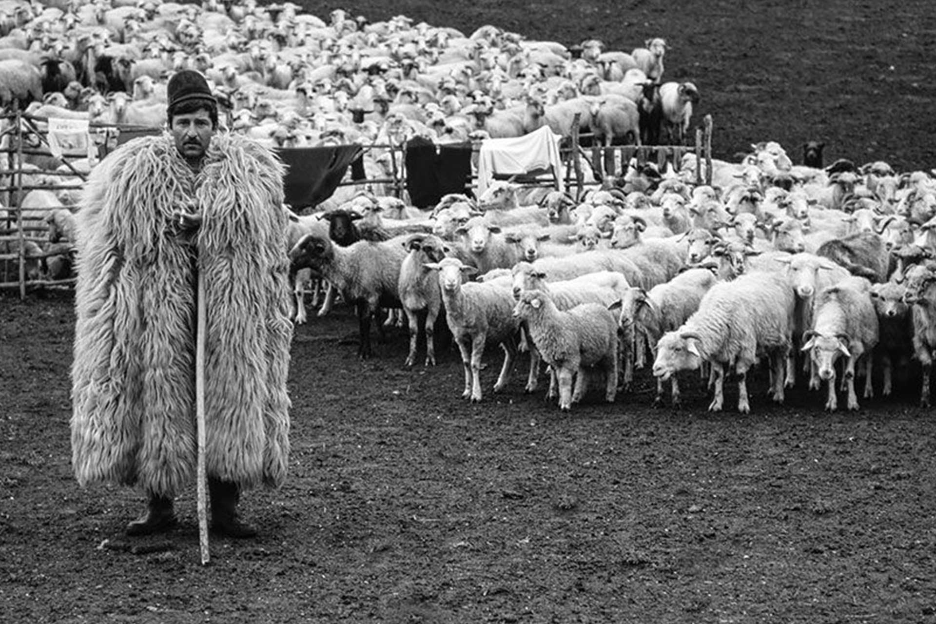 PASTORE ANNI '50 TRENTINO