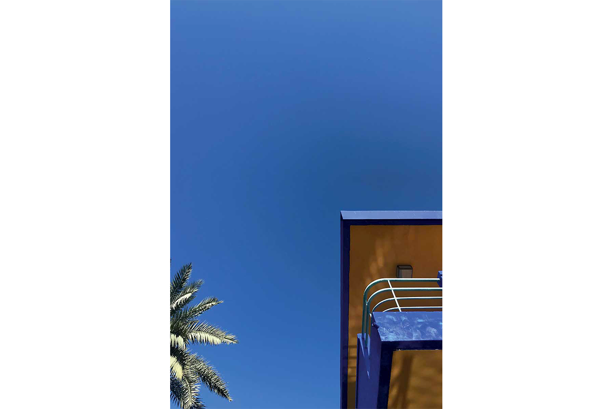 Detail of the Jardin Majorelle in Marrakech, the complex of botanical gardens designed by the French artist Jacques Majorelle in 1931. Ph Alex Beckoven