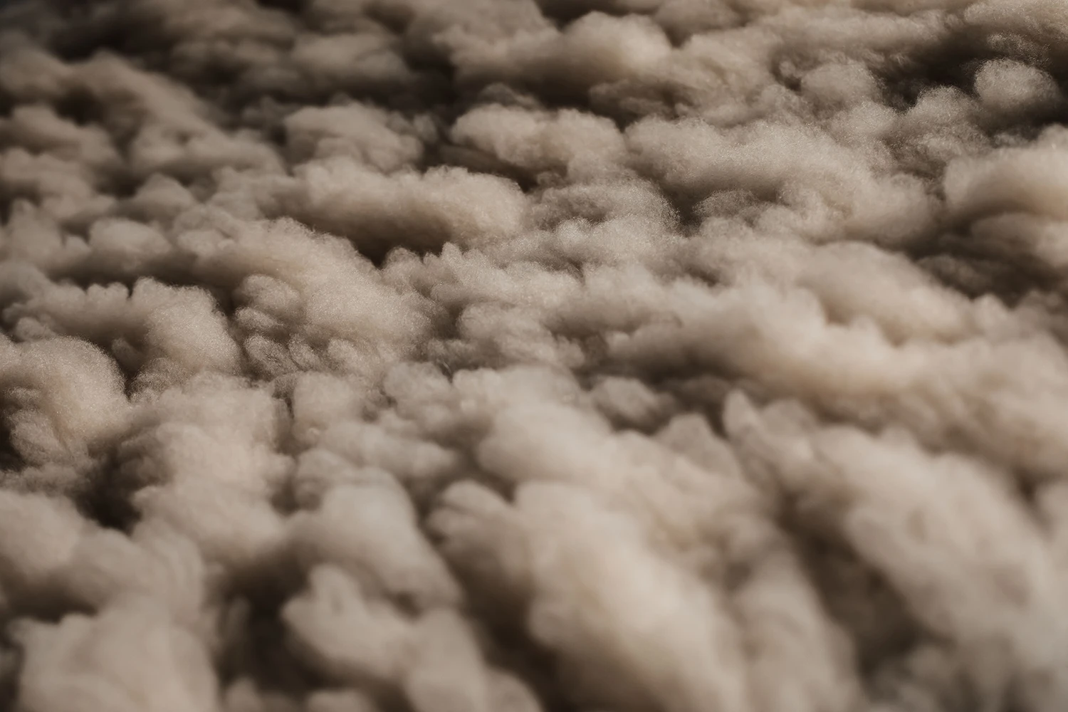 Mongolia Loro Piana Cashmere
