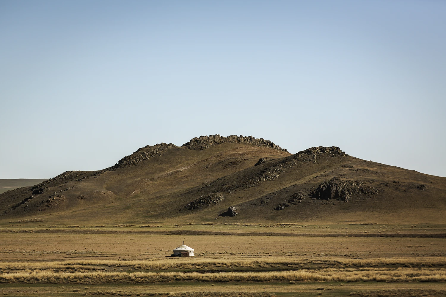 Mongolian steppe grazing