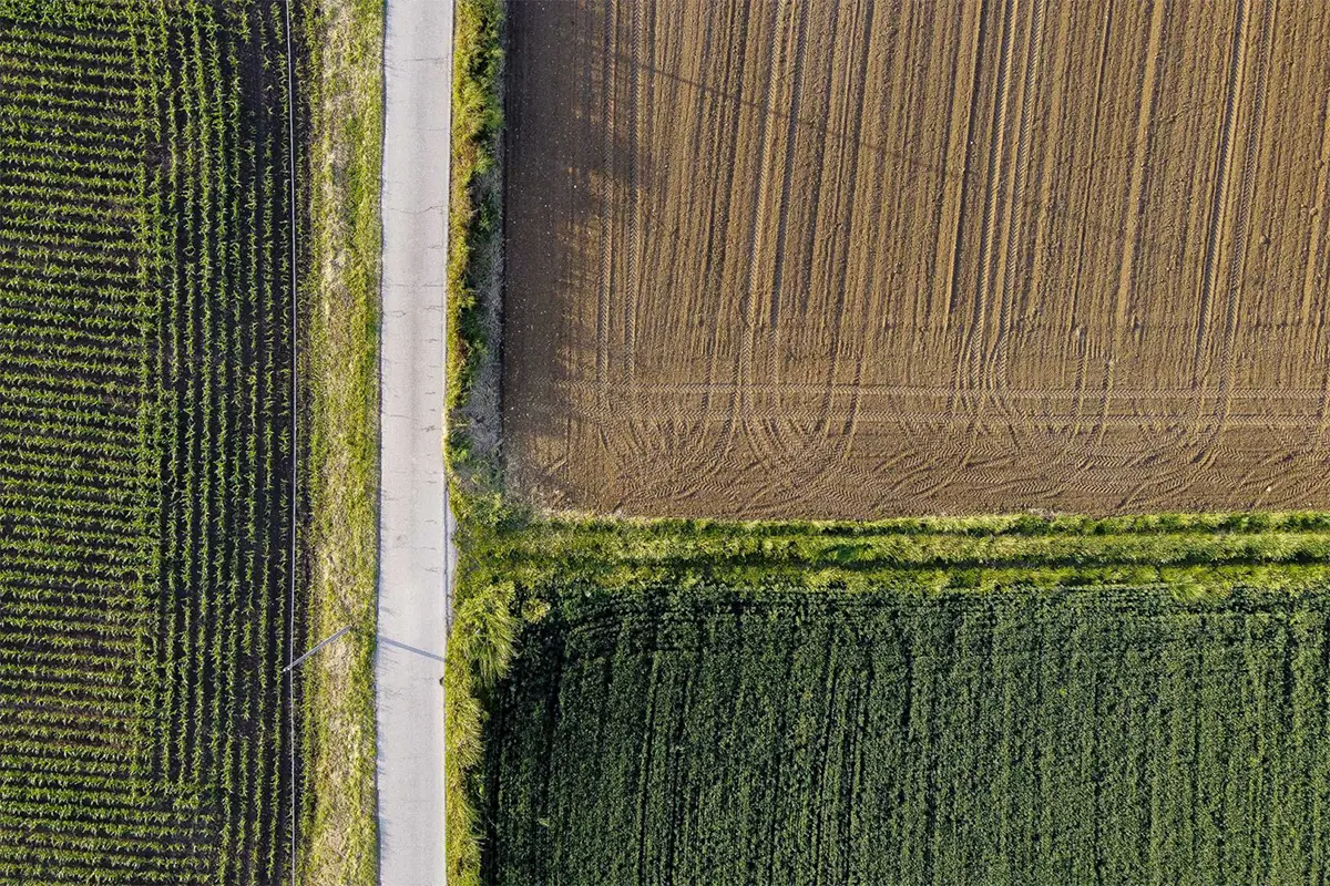 Lampoon Campagna, fotografia di Luca Eberle