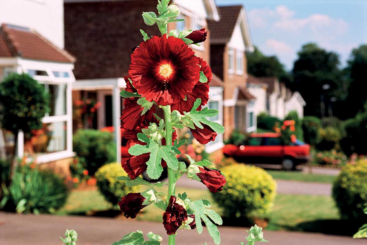 Martin Parr, 1999, Weston-Super-Mare, England; Courtesy Contrasto / Magnum