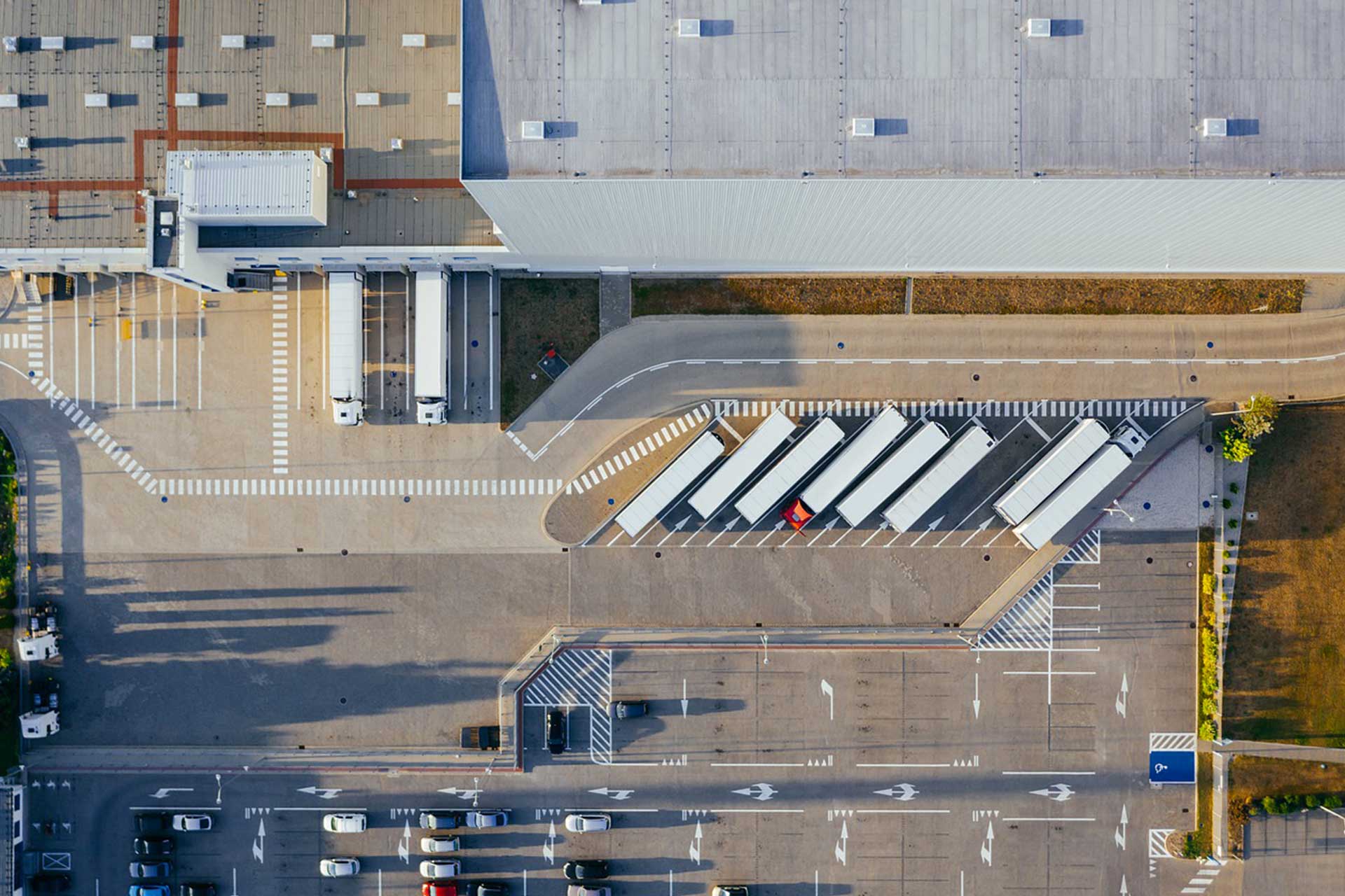 Agenzie Riunite e Dotlog utilizzano l’avanzato software GSPED per l’esecuzione dei trasporti Lampoon
