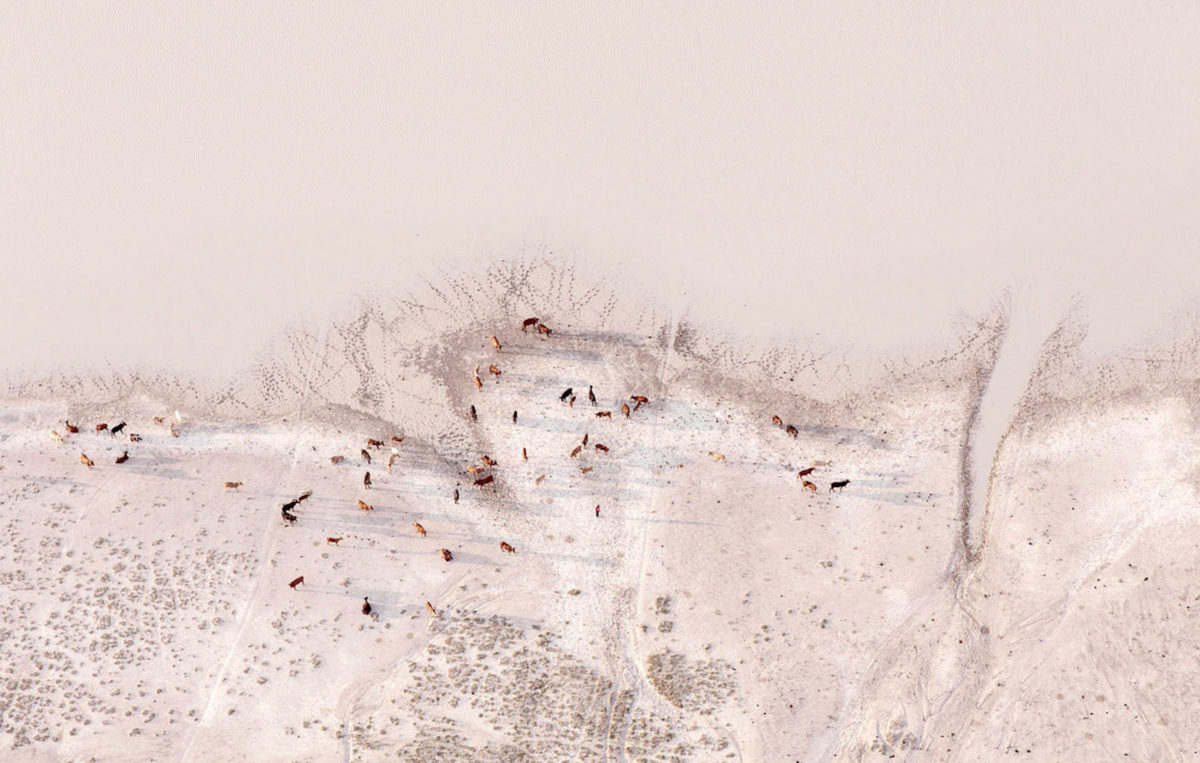 ZACK SECKLER
