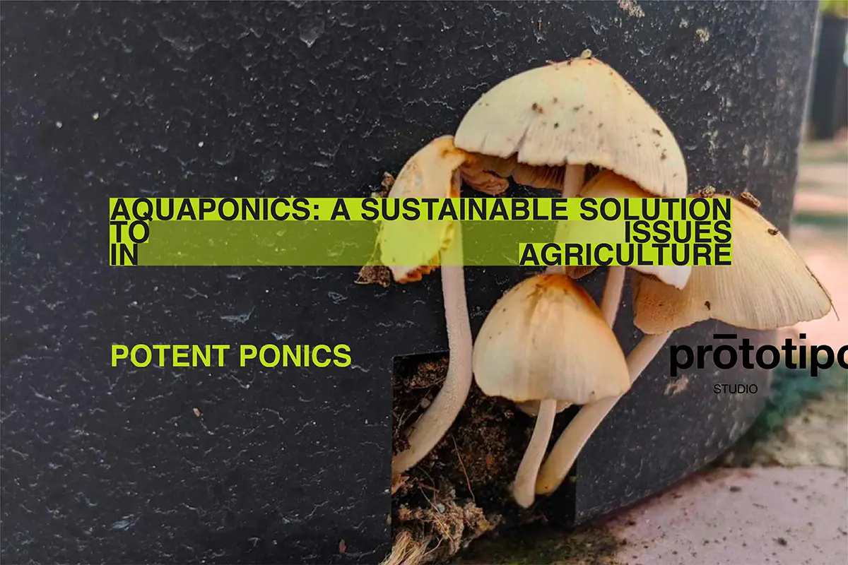Aquaponics - a sustainable solution to issues in agriculture