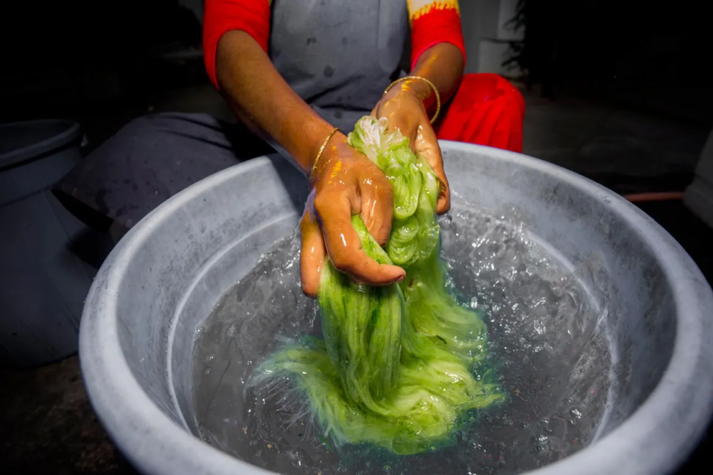 Lavaggio fibra di ananas