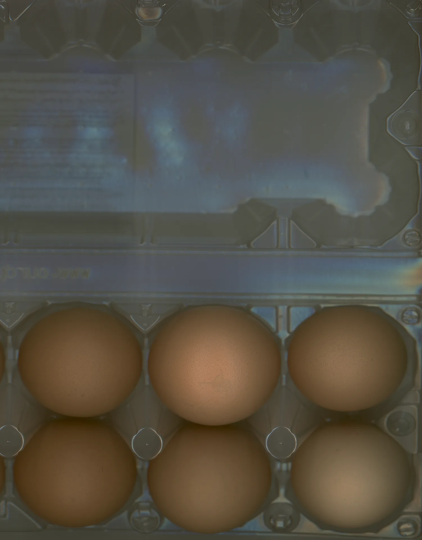 photography Katerina Jebb, Lampoon issue 21