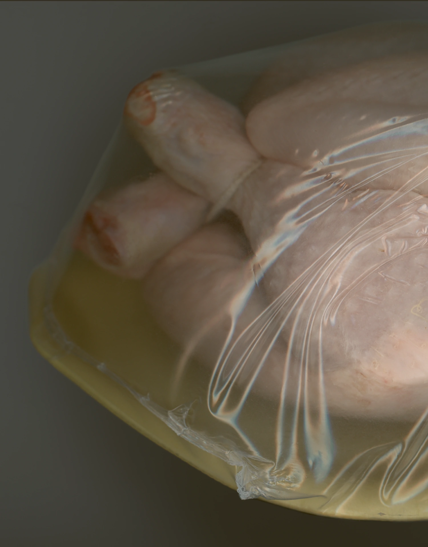 photography Katerina Jebb, Lampoon issue 21