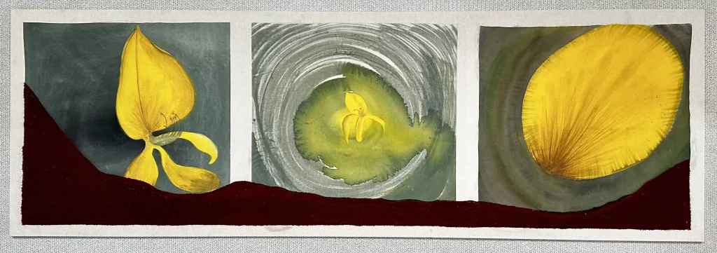 Allegra Hicks, ginestra