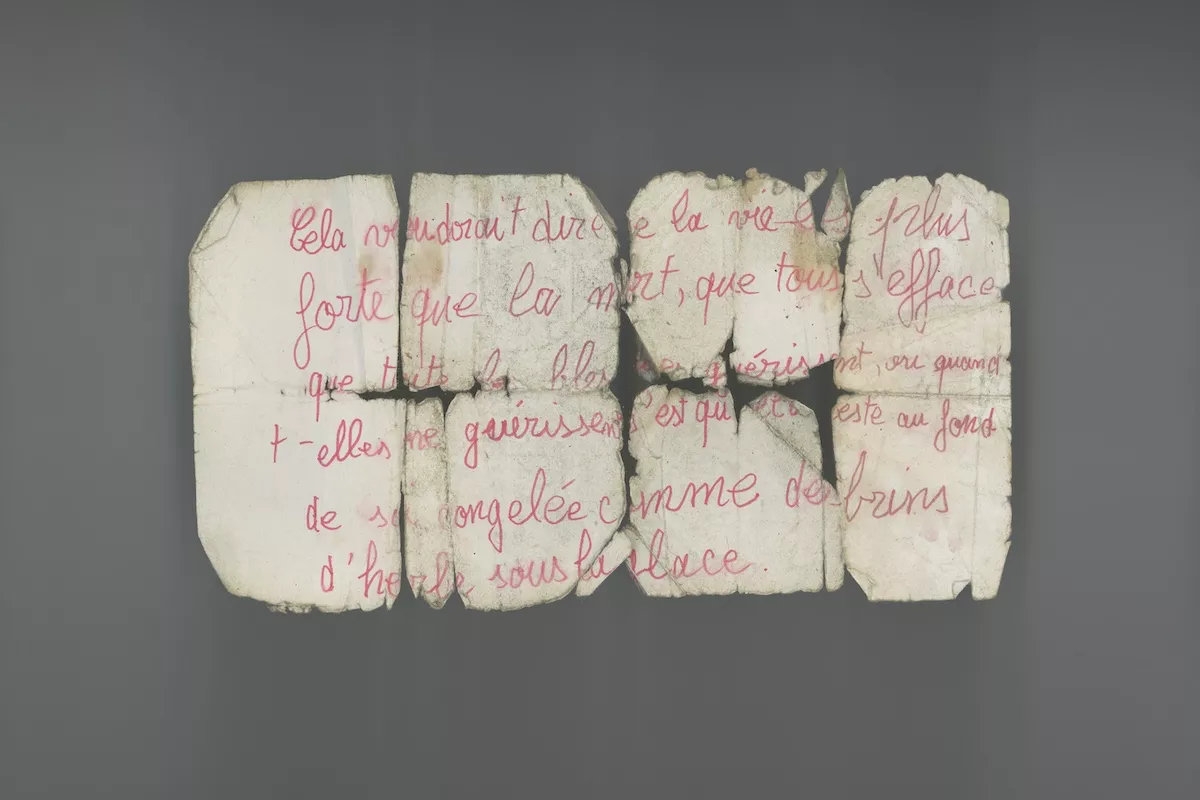 photography Katerina Jebb, Lampoon issue 22