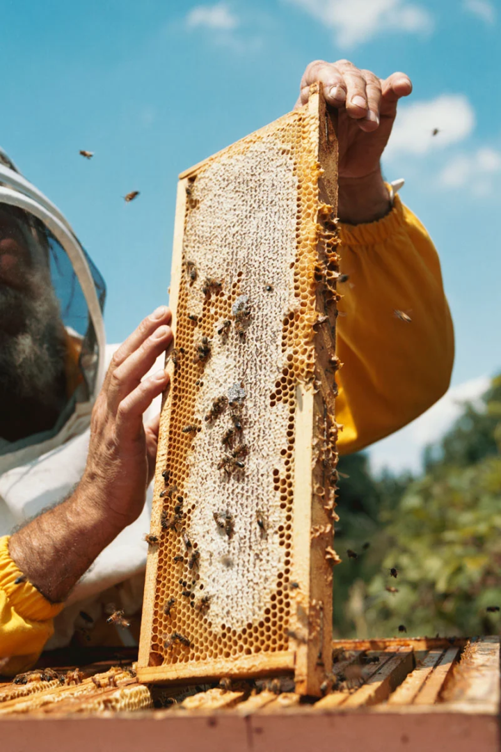 photography Maurizio Annese