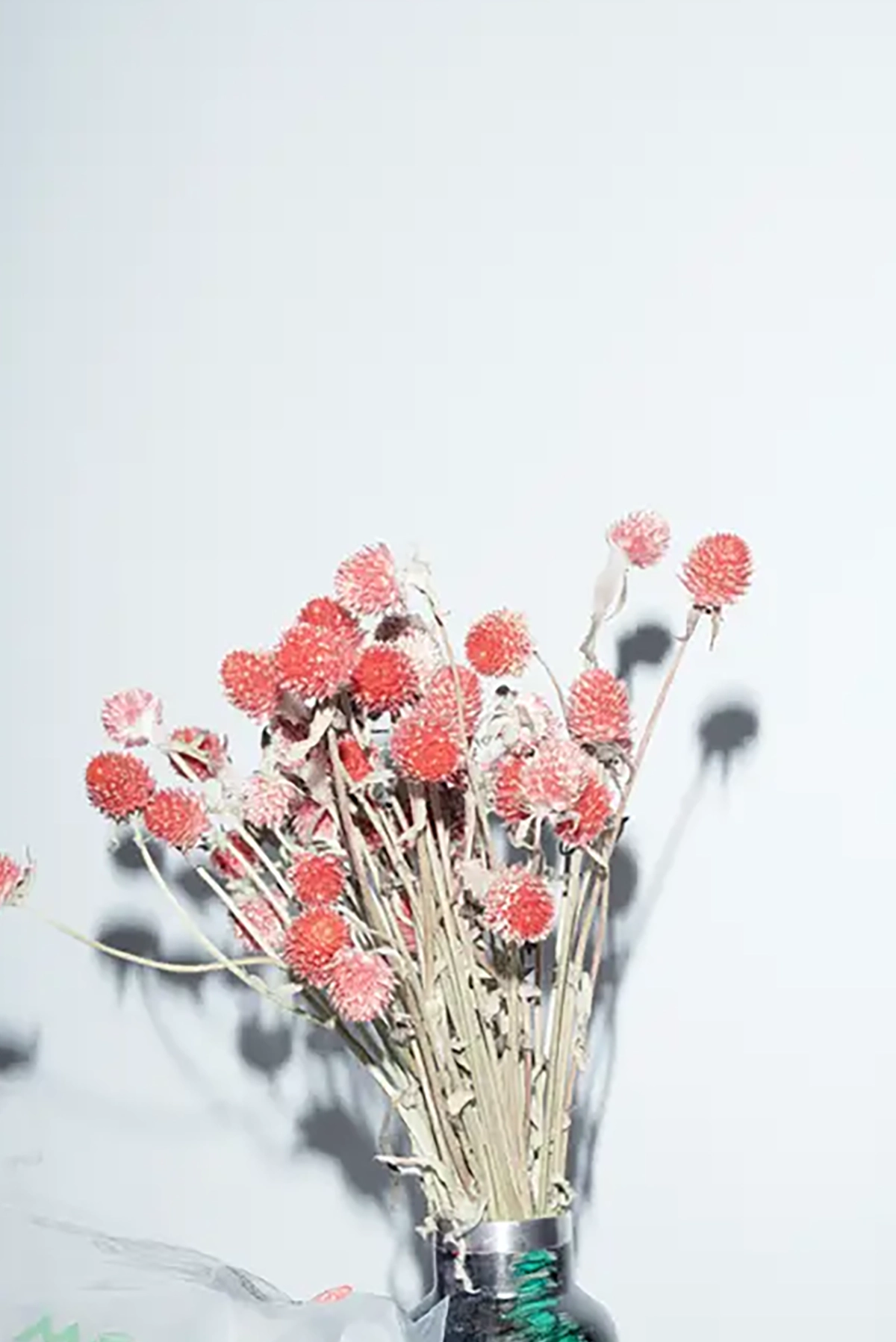 Collina Strada, photography Enrico Brunetti