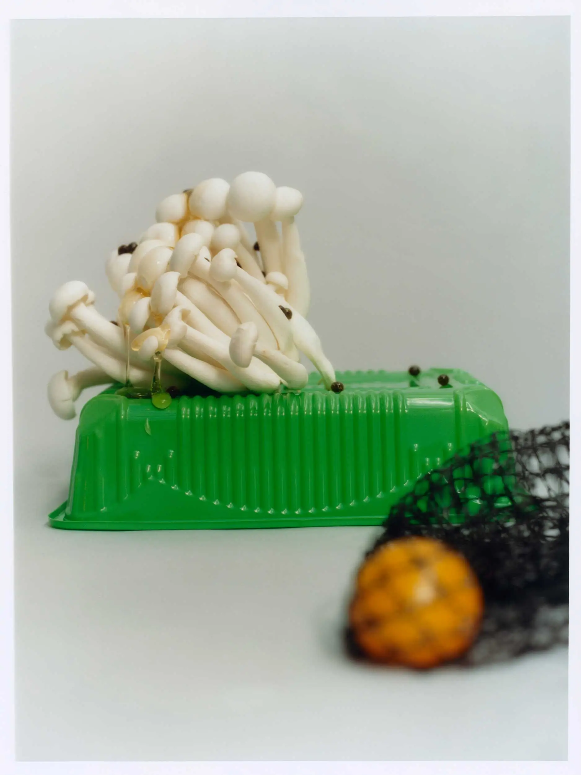 photography Adrien Dubost