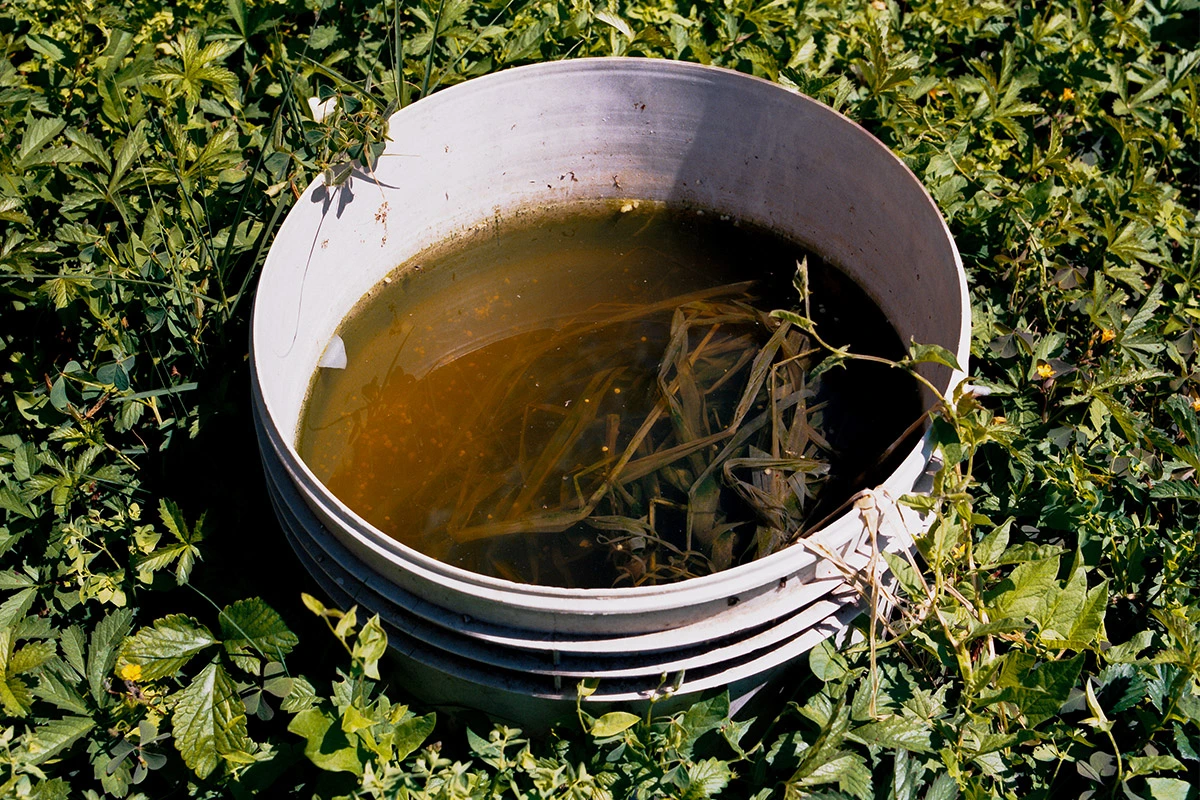 From Udine district, Italy, Vittorio Franzolini, 2020