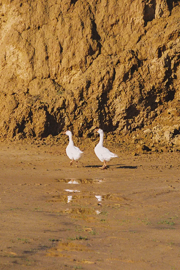 Photography Alba Yruela