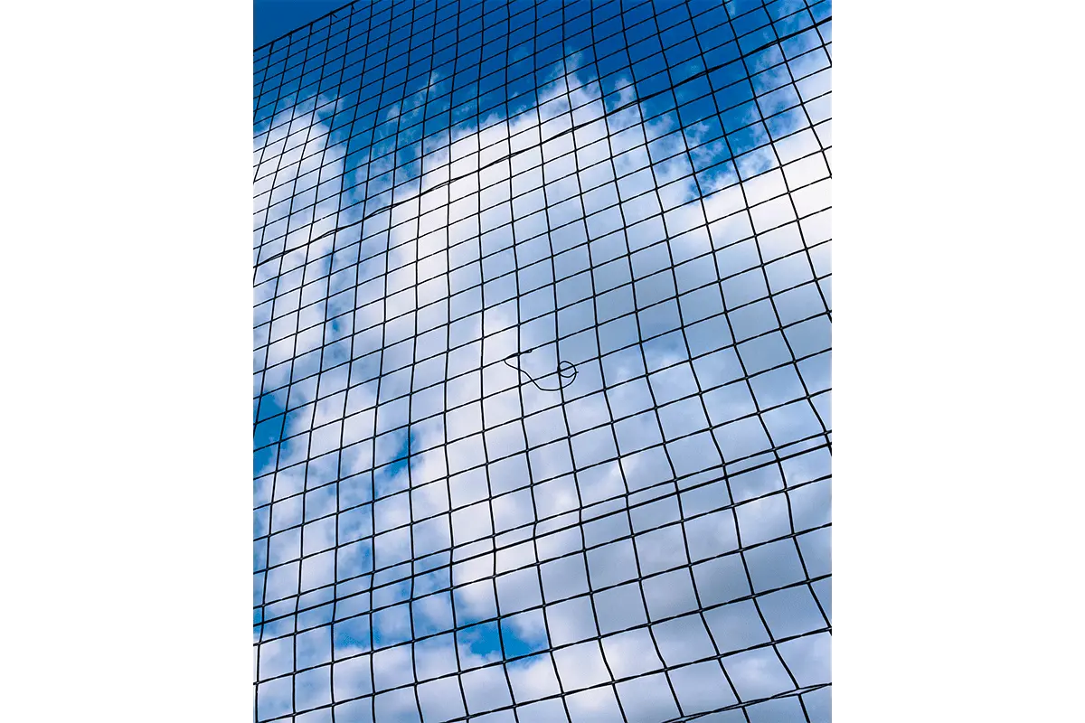 From Udine district, Italy, Vittorio Franzolini, 2020