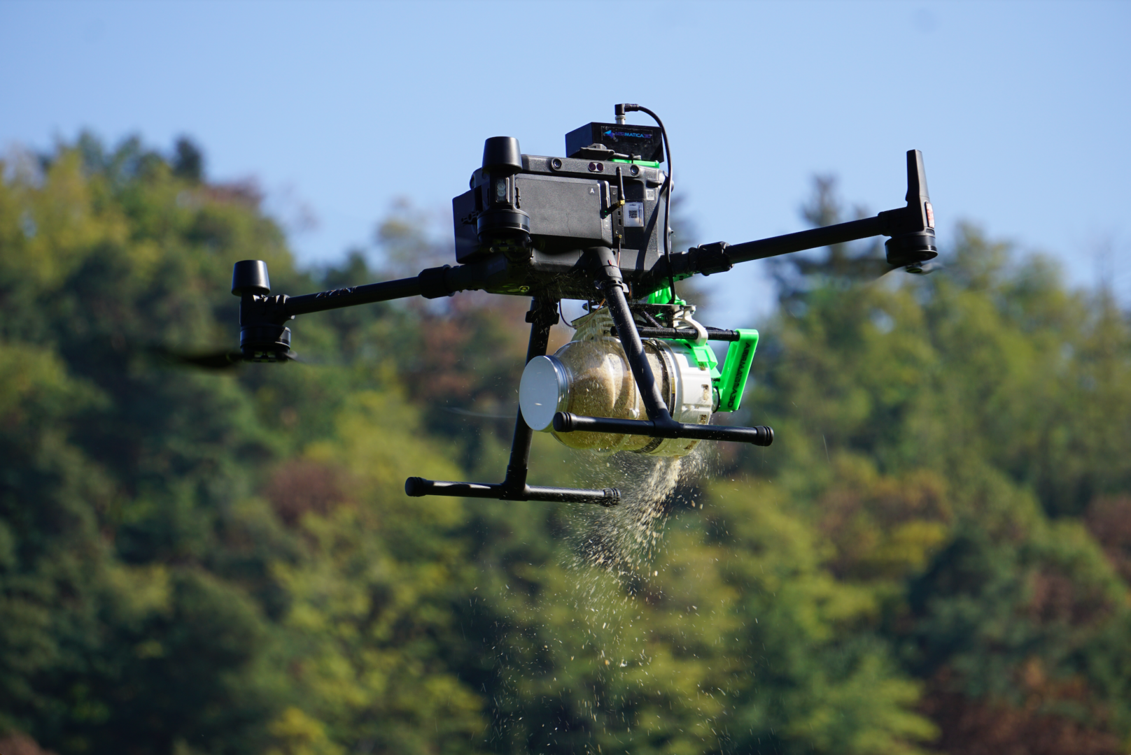 Distribuzione del fitoseide sul pieno campo