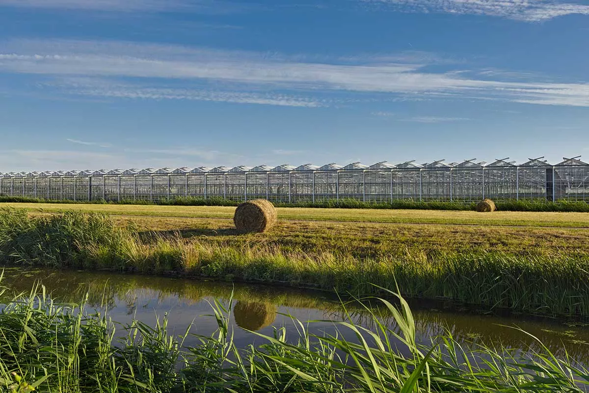 La sede di Koppert Biological Systems