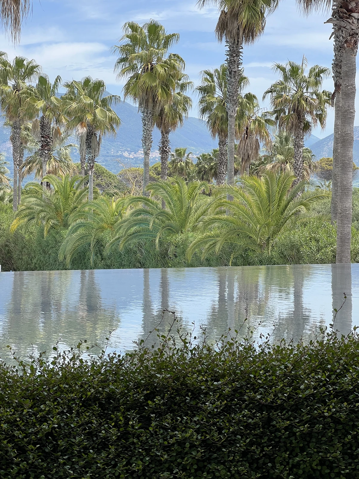Savoy Beach Hotel, vegetation