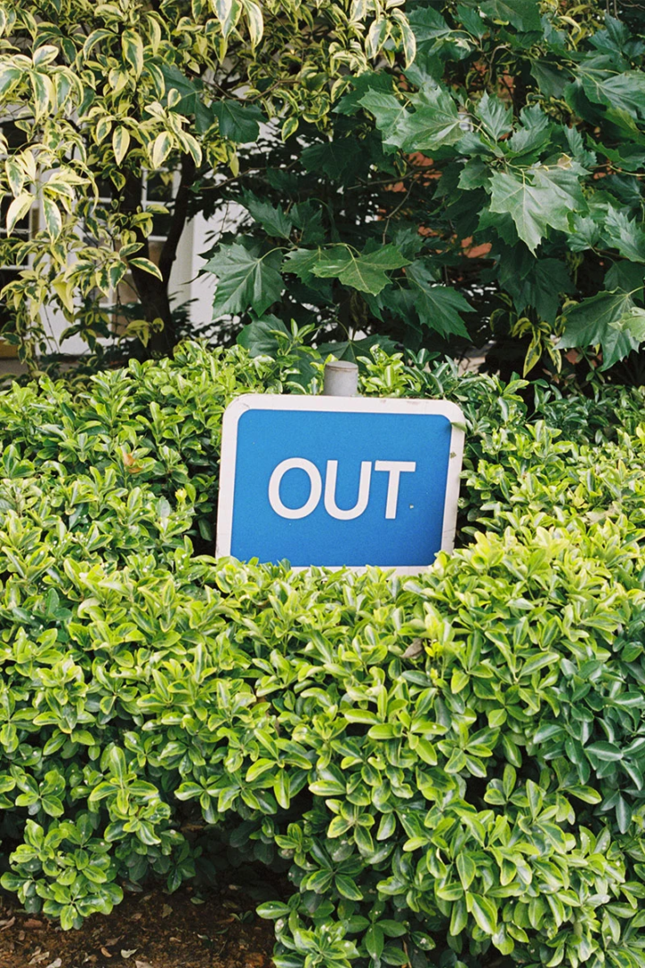 photography Tom Biddulph