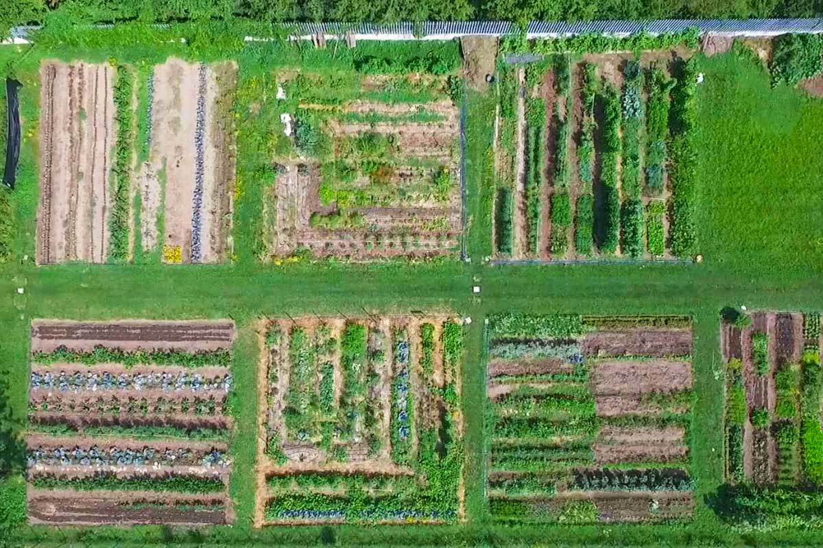 Studio Terre, Terre padane asciugate al sole, lana sarda e vetro di Murano