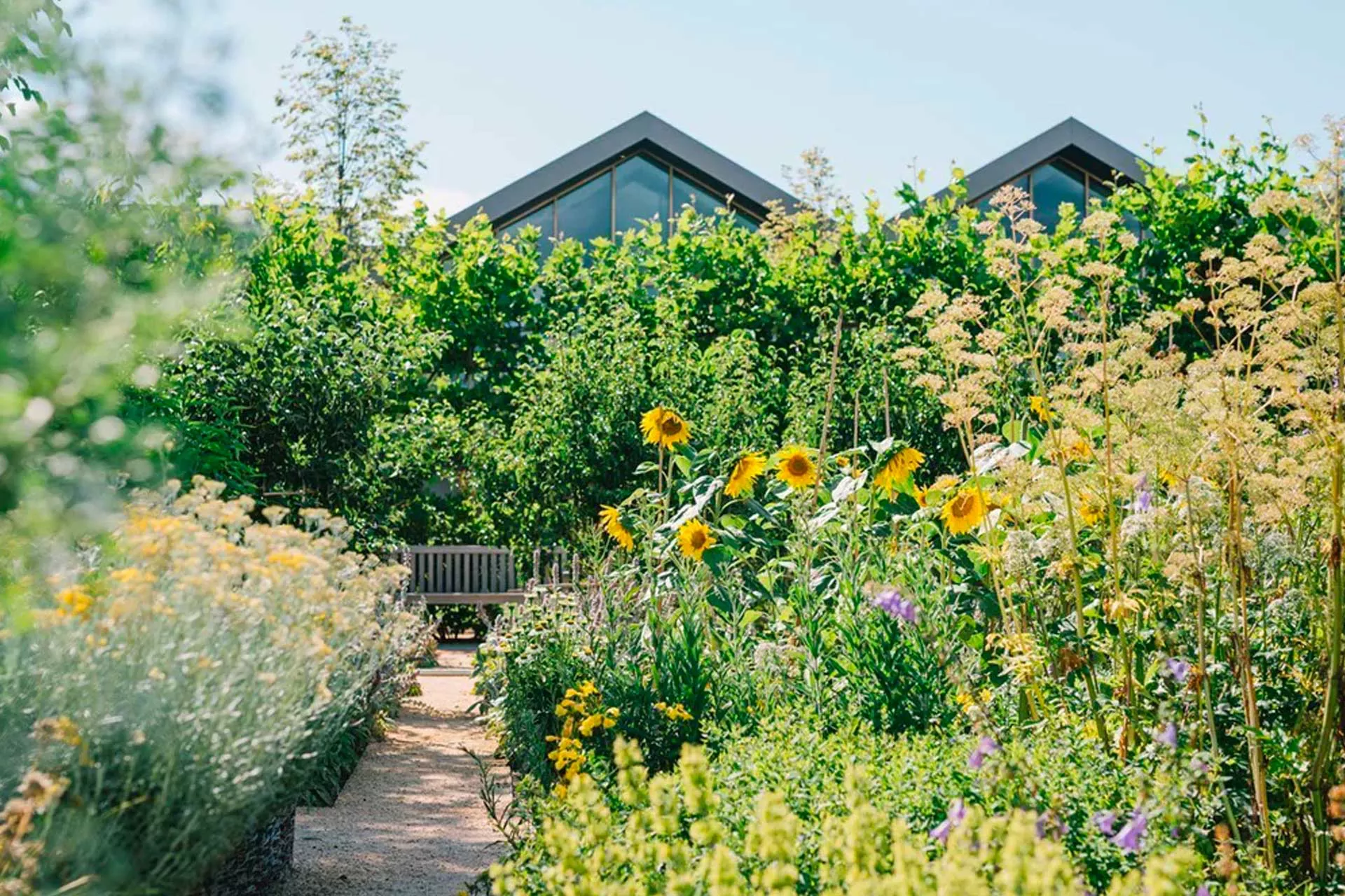 Davines, the gardens surrouding the factory