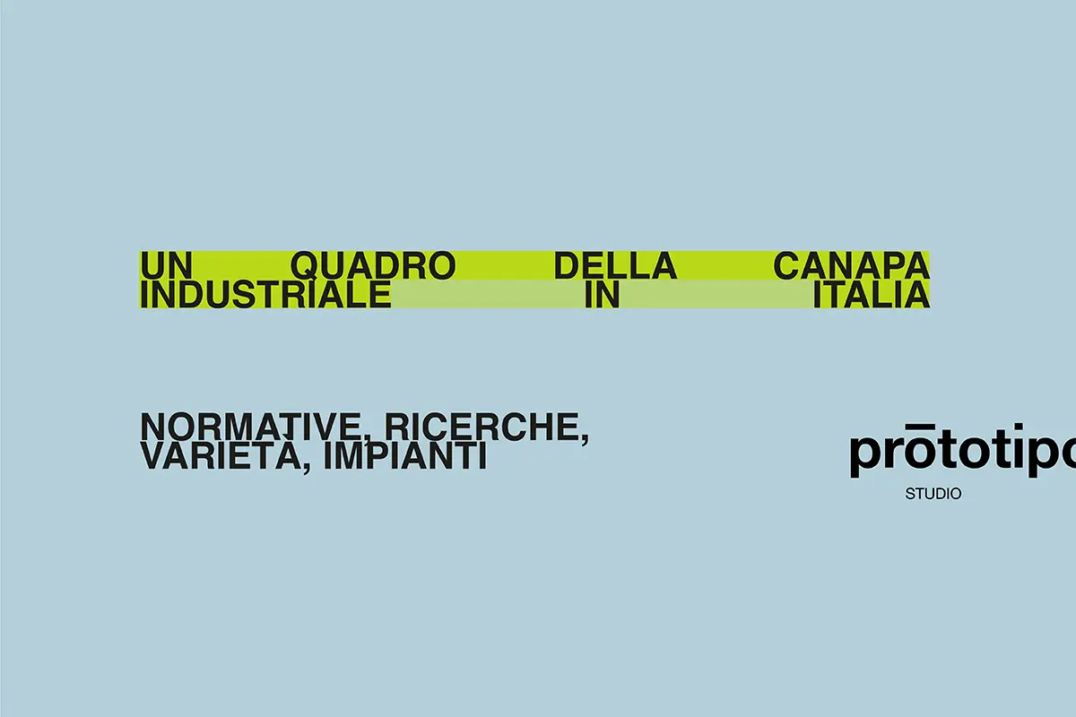 Un quadro della canapa industriale in Italia