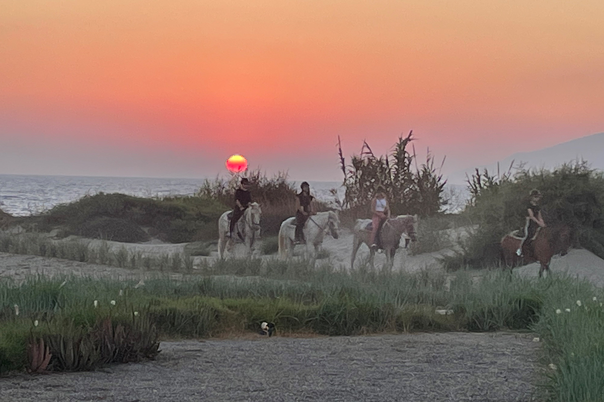 horsing at the sunset