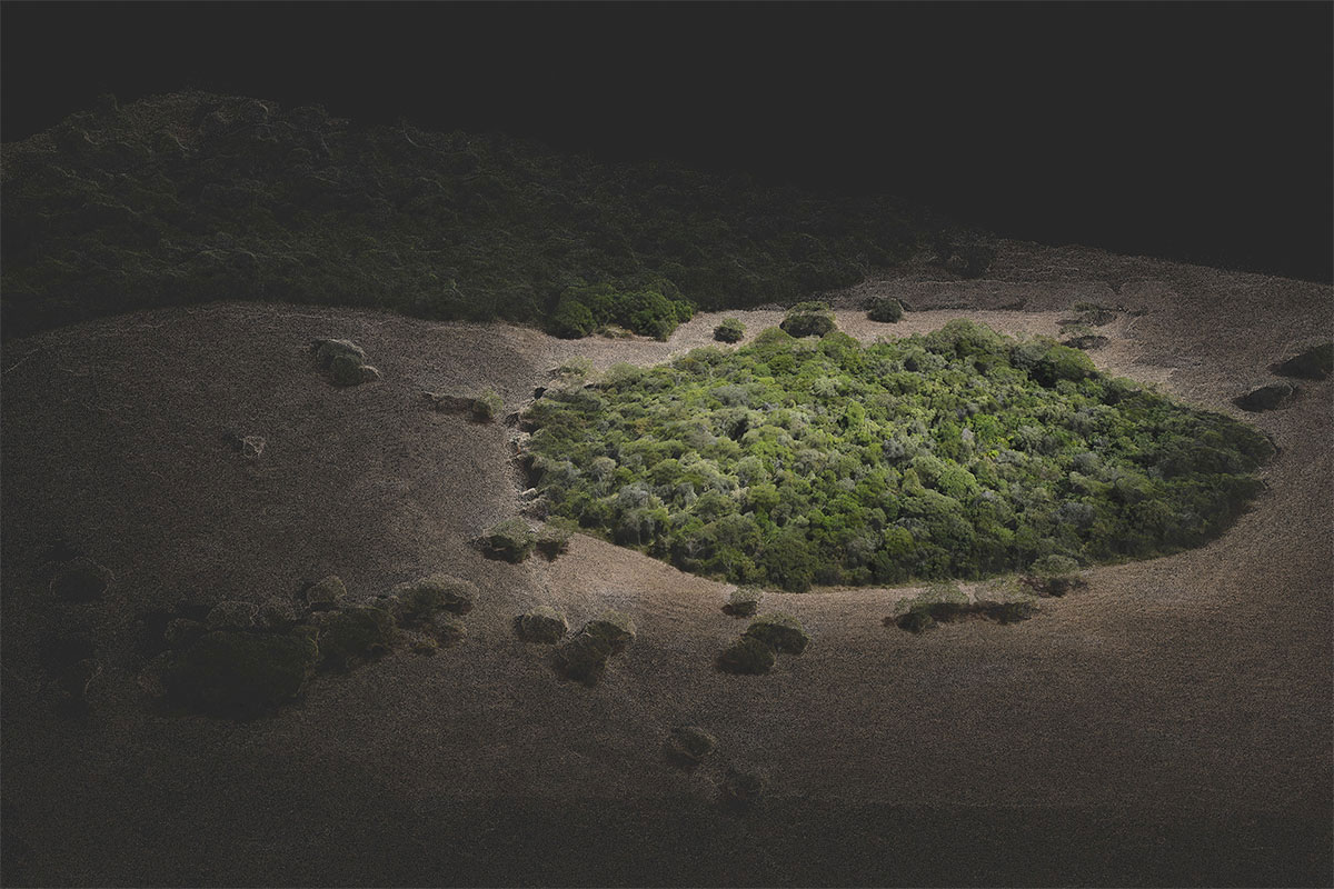 Brasile, aumento deforestazione nella foresta amazzonica