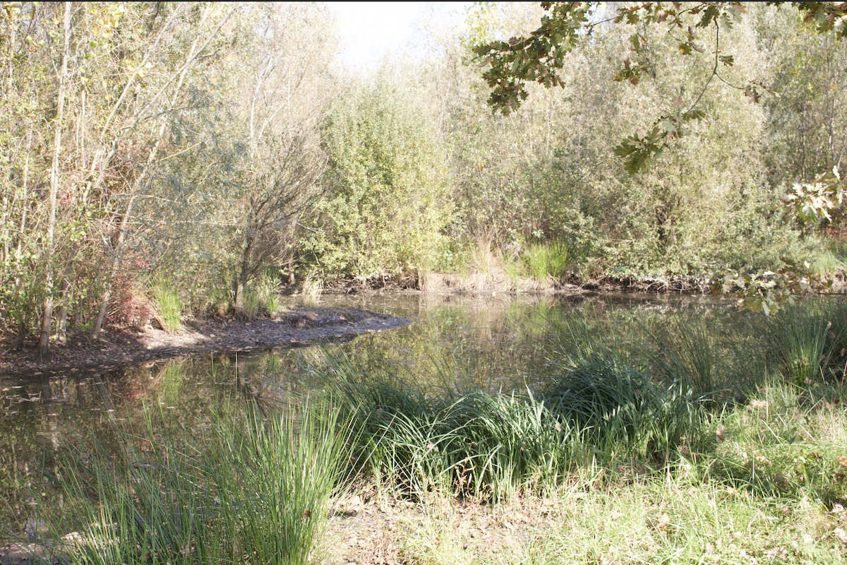 Agricoltura rigenerativa e oasi di biodiversità nel comune di Vernate, Città Metropolitana di Milano