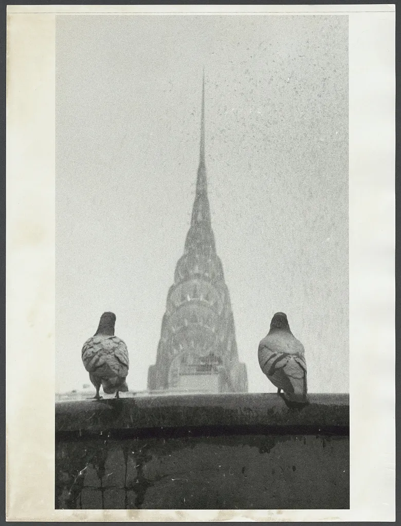 Cultivating innovation - Cornell researchers are developing new hemp cultivars tailored for success in New York. Angelo Rizzuto, June 1957