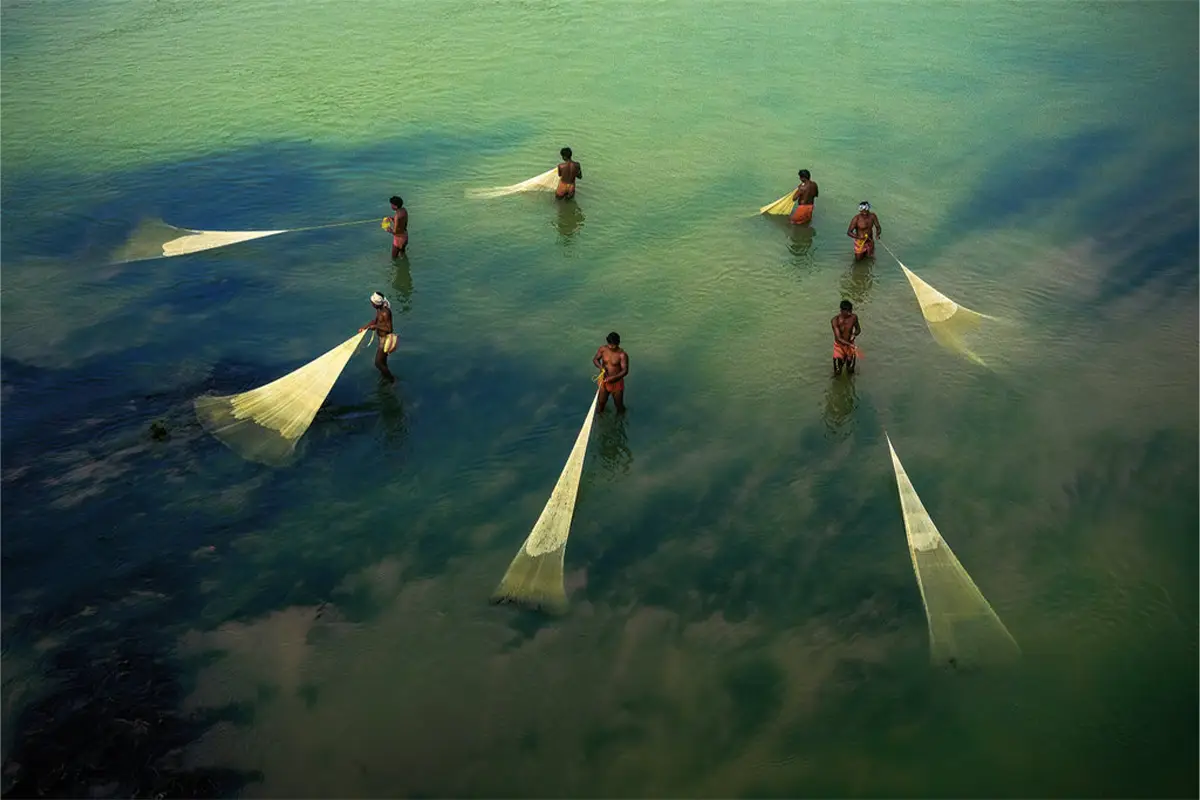 Lampoon, An overhead view of a group of fisherman standing in shallow water holding and pulling their fanned-out nets to catch fish, Shibasish Saha, Climate Visuals