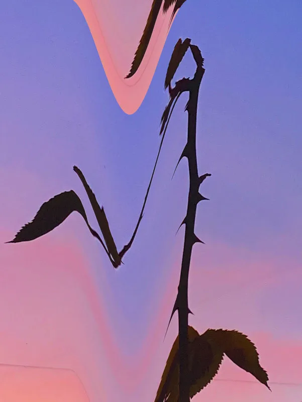 Artwork Elizaveta Litovka