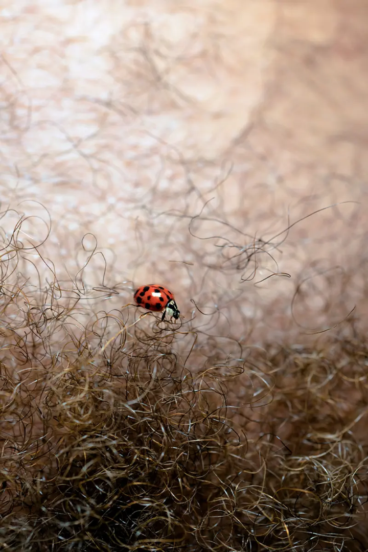Photography Florian Hetz