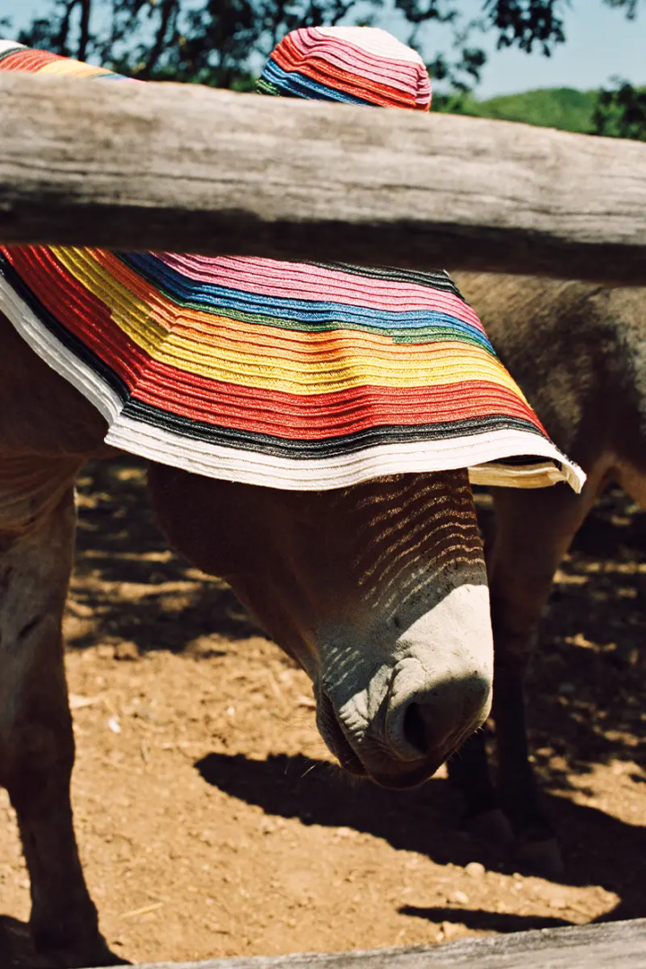 Photography Luke Wassmann