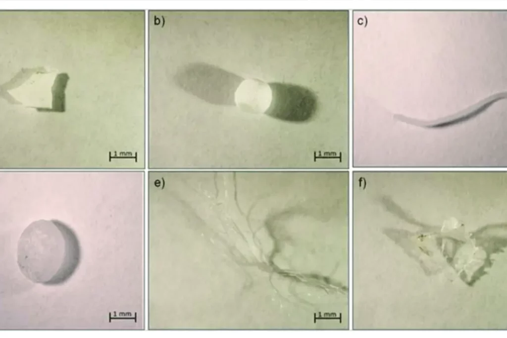 We Are What We Fuck: Microplastics In The Male Reproductive System